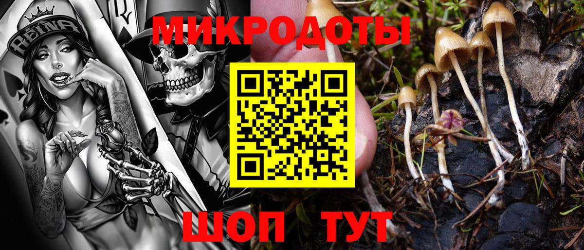 Белорецк  наркотики  Вход с VPN  Псилоцибиновые грибы ЛСД 