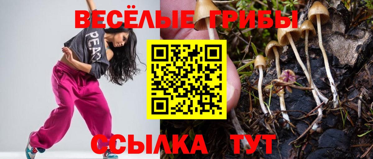 Псилоцибиновые грибы прущие грибы Белорецк